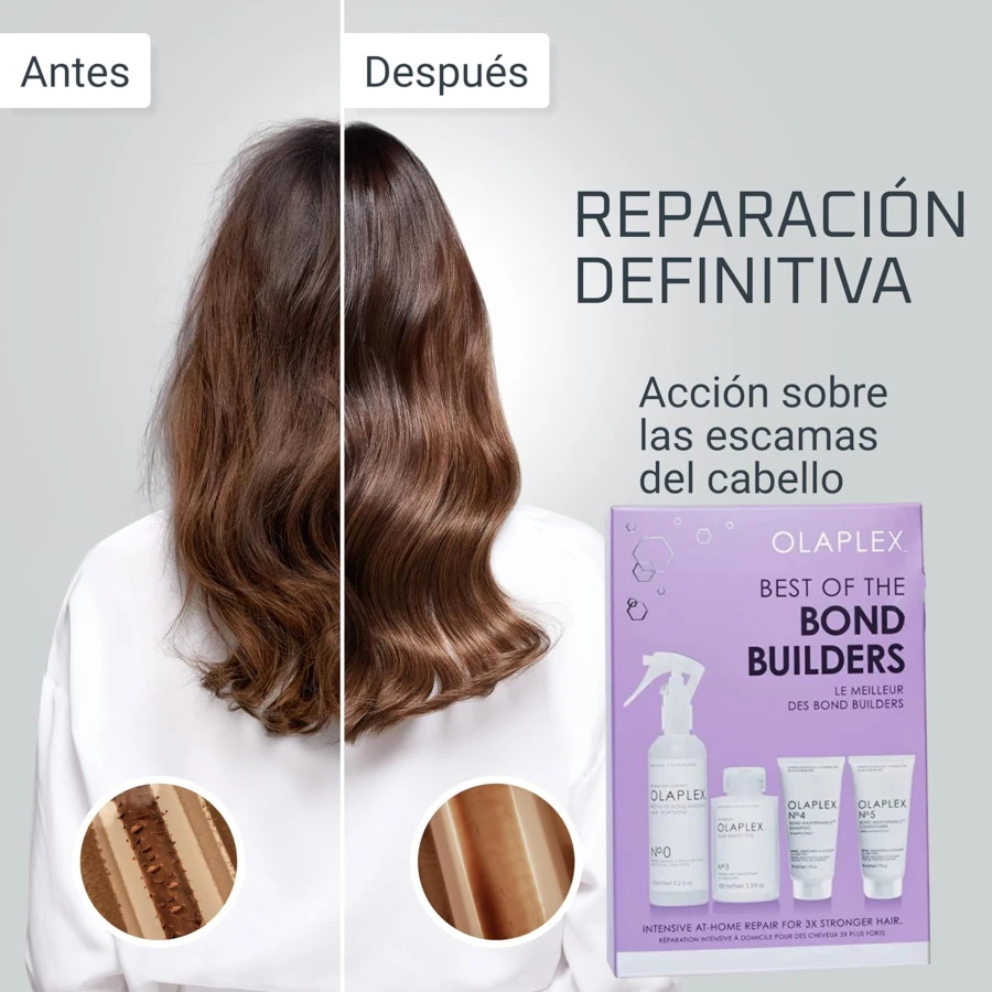 Cabello dañado y Frizz
